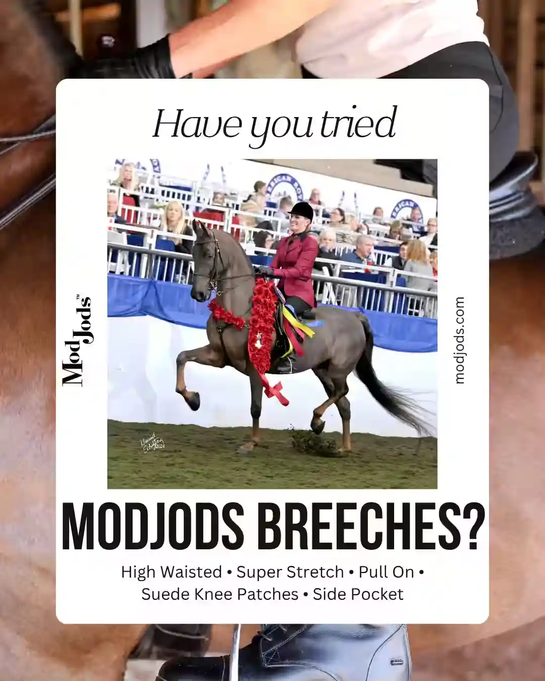 ModJods Breeches are a HIT!