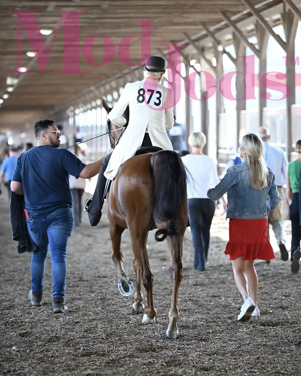 Best of Luck in LOUISVILLE!