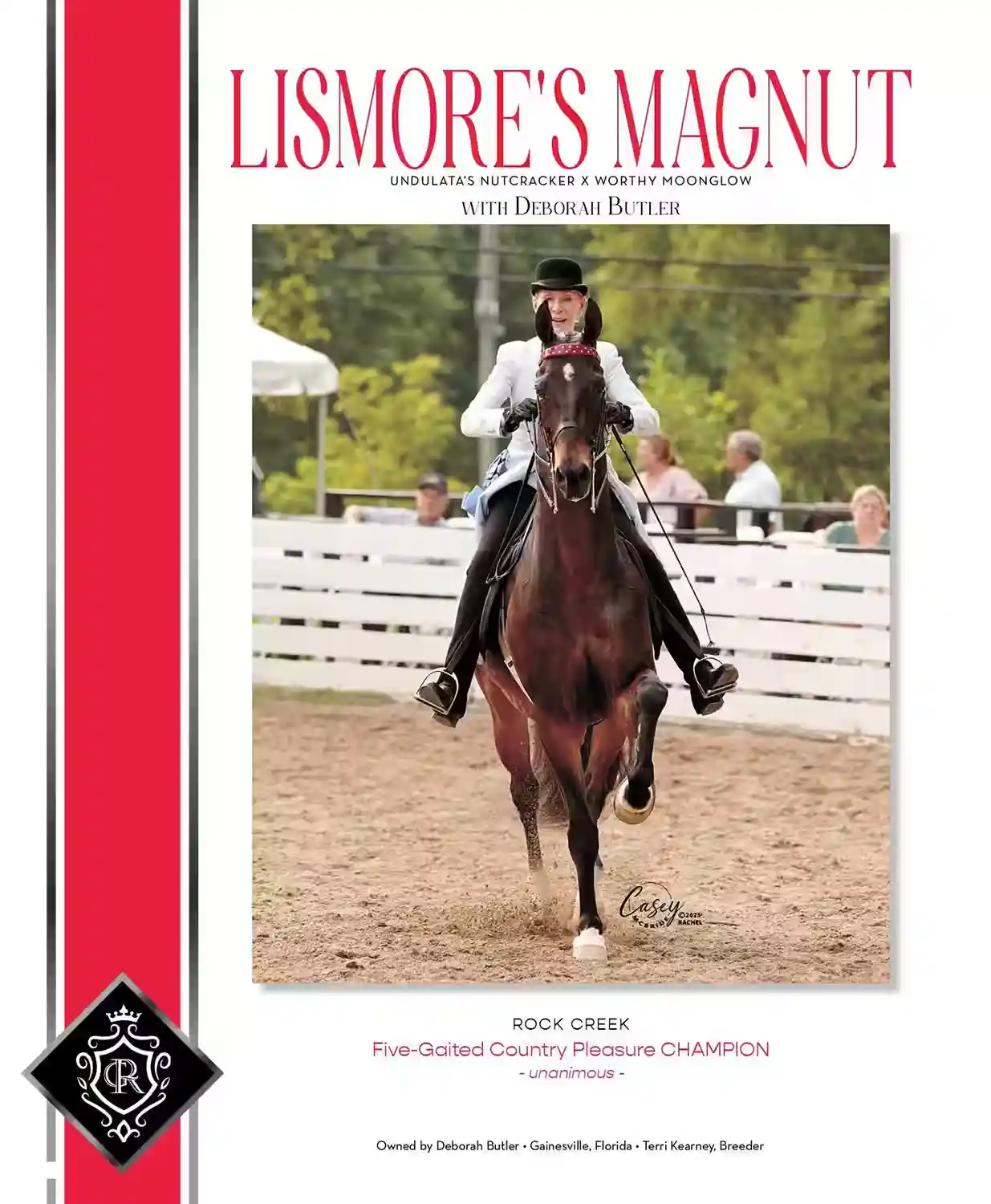 Congratulations to Deborah Butler with CH Lismore’s Magnut!