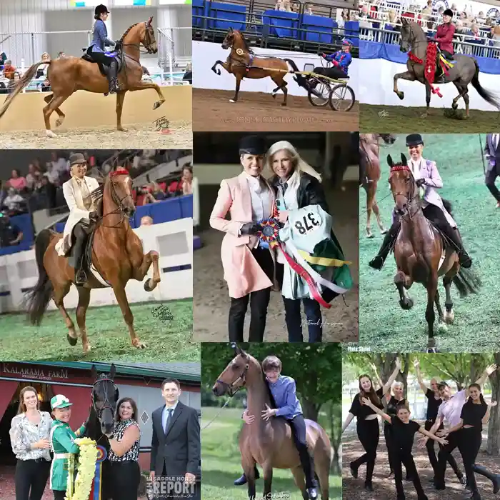 Louisville Memories with ModJods