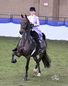 Parker Twenty-Four & Katie Moeller