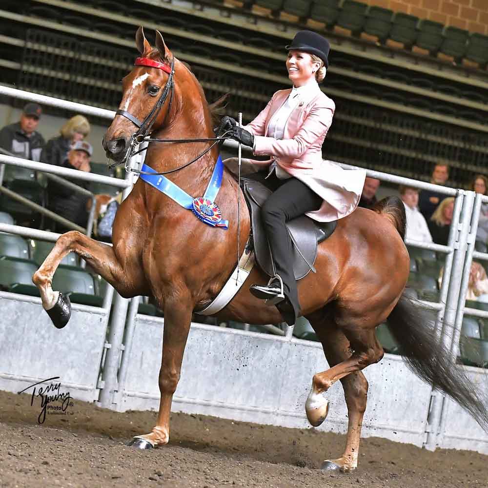 ModJods is on the road!