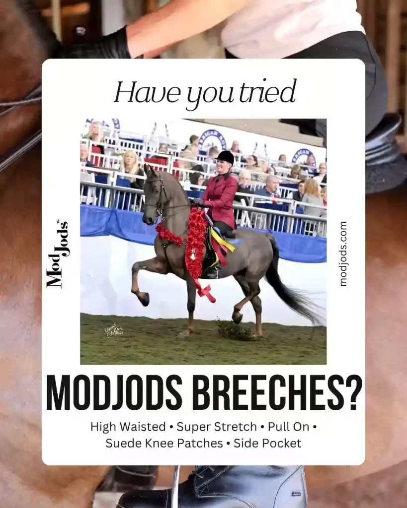 ModJods Breeches