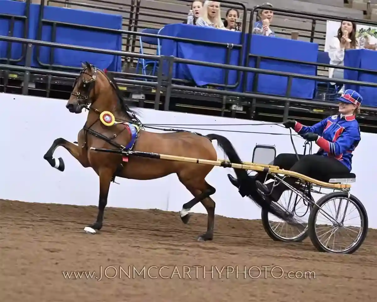 ModJods speeds in for the win!